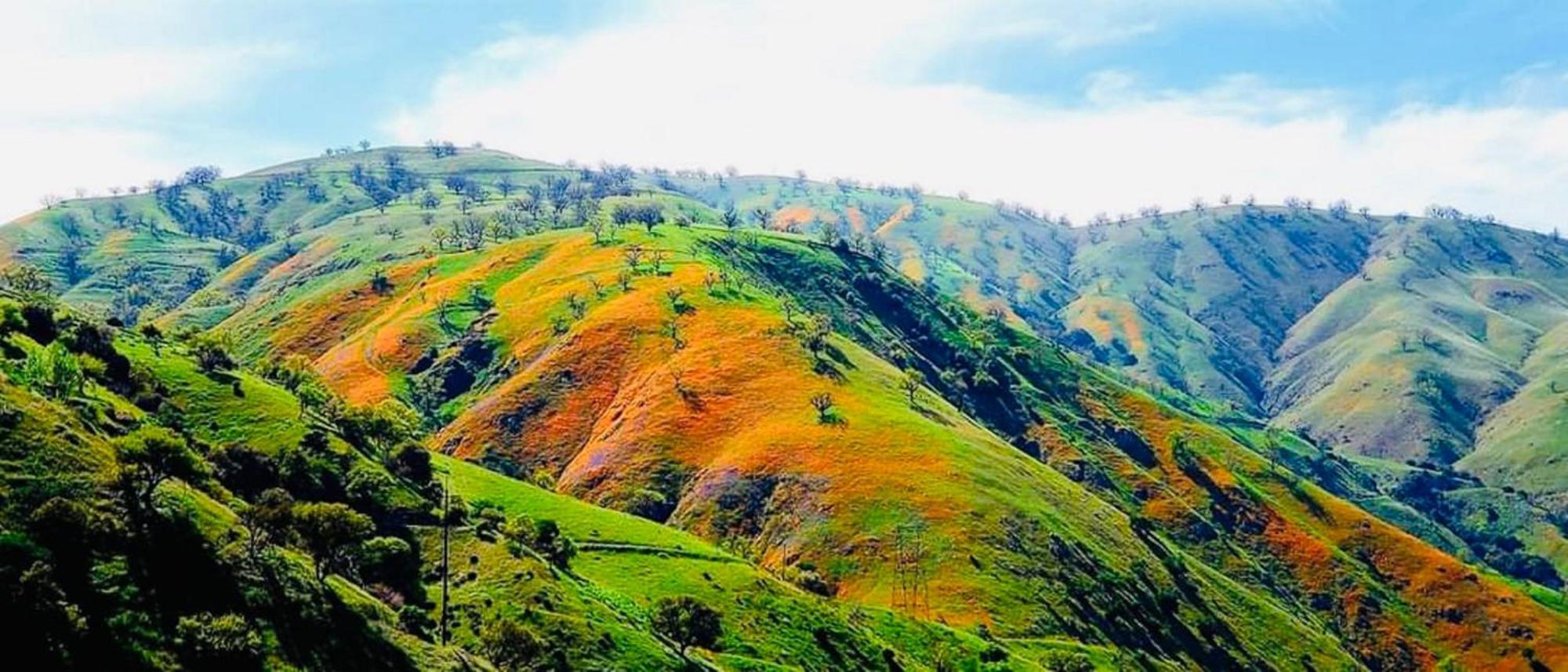 فندق هوليداي إن إكسبريس فريزير بارك Lebec المظهر الخارجي الصورة
